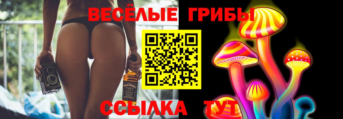 Советск  Галлюциногенные грибы Cubensis  Вход с VPN 